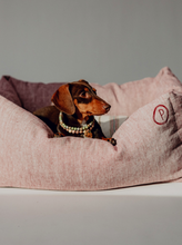 Load image into Gallery viewer, Dulces Sueños Grapefruit Dog Bed
