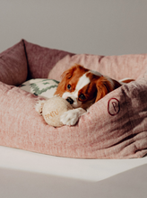 Load image into Gallery viewer, Dulces Sueños Grapefruit Dog Bed
