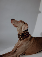 Load image into Gallery viewer, Porthos Collar
